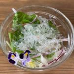 ランチセットのサラダ(オリエンタルカフェ睡蓮)