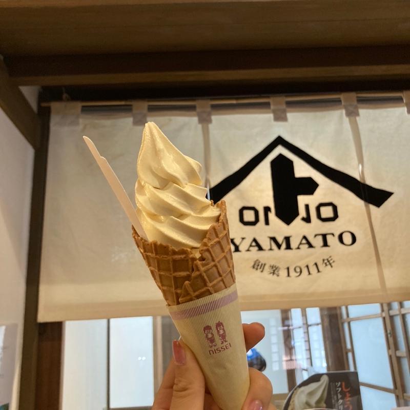 醤油ソフトクリーム(発酵食美人食堂 （【旧店名】あまざけBar）)