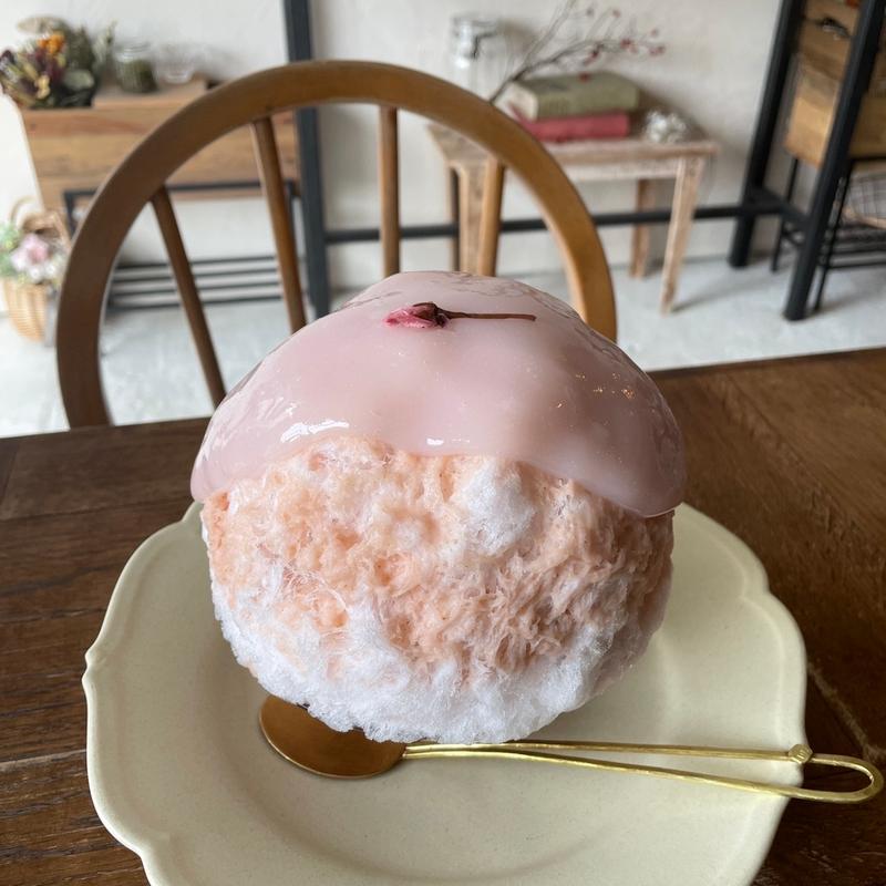 さくらもち(ヨリドコロヒヨリ)