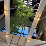 季節によって変わったジェラート(包商店)
