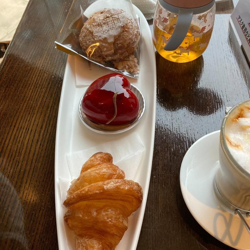 (フォルテシモ アッシュ （FORTISSIMO H）)