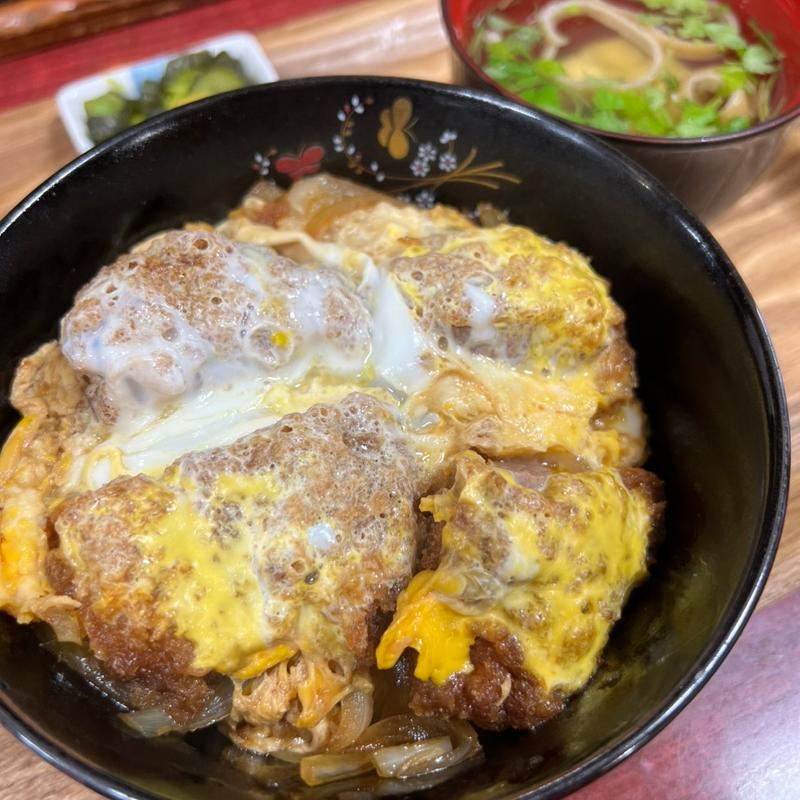 半ヒレかつ丼(とんかつ 天ぷら 山之内(やまのうち))