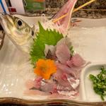あじ活刺し