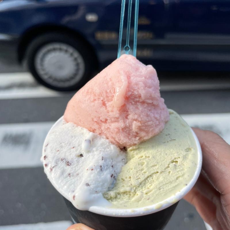 (ジェラテリアアクオリーナ （GELATERIA ACQUOLINA）)