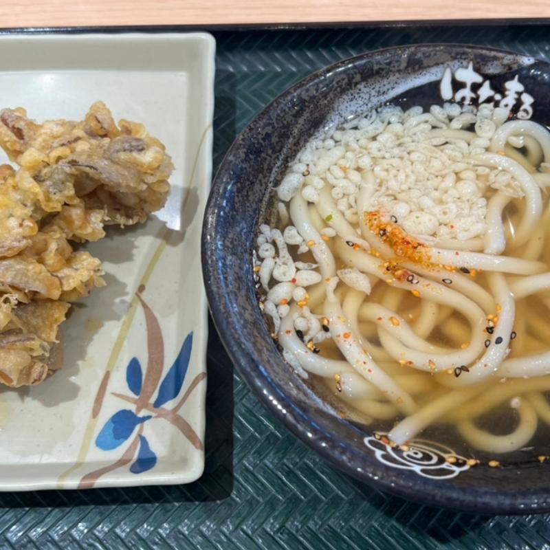 かけうどん(はなまるうどん ミスターマックス湘南藤沢店)