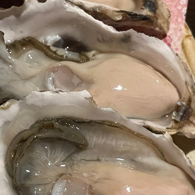 生牡蠣(牡蠣としゅうこと時々かねこ)