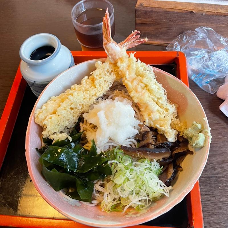 天麩羅おろし蕎麦(瓢六庵)