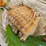 大アワビ刺身(とれとれ市場南紀白浜「とれとれ横町」)