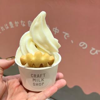 十勝しんむら牧場ソフトクリーム(ムゥ/とろり。craft milk shop)