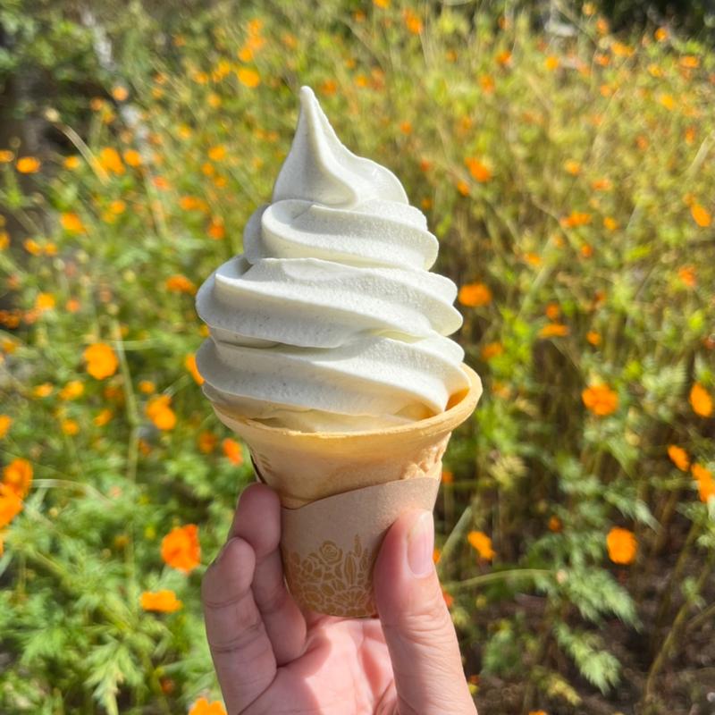 昆布ソフト(道の駅 青の国ふだい)