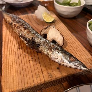 秋刀魚の塩焼き(炉端のじんべえ)