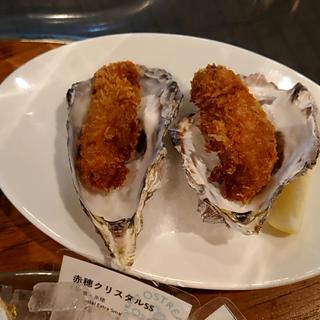牡蠣フライ(オストレア 赤坂見附店 （Ostrea）)