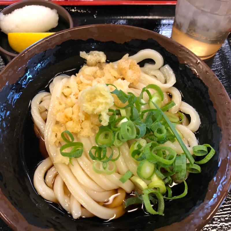 ひやひや(手打十段 うどんバカ一代)