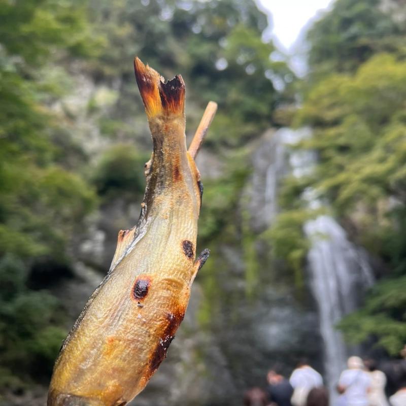 鮎の塩焼き(楓来坊 )