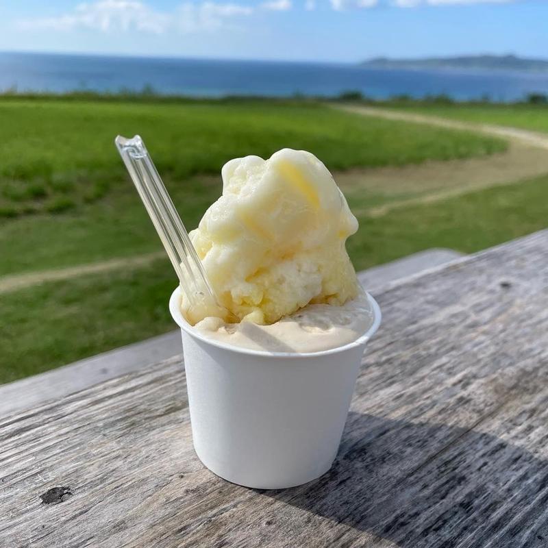 ジェラードハーフ&ハーフ(ミルミル本舗 本店)