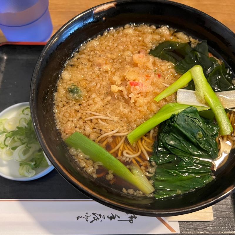 たぬきそば：大盛(更科大黒 )