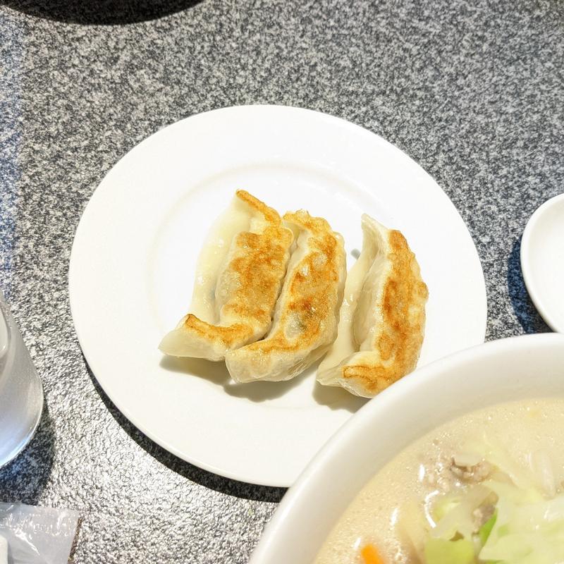 セット餃子(神田餃子屋 本店 （カンダギョウザヤ）)