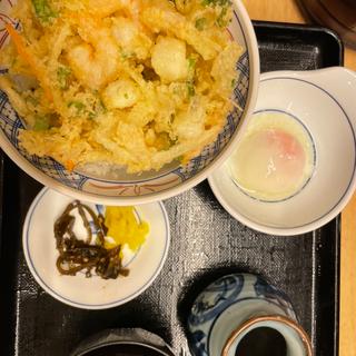 かき揚丼(ウエスト 那の川店(うどん))