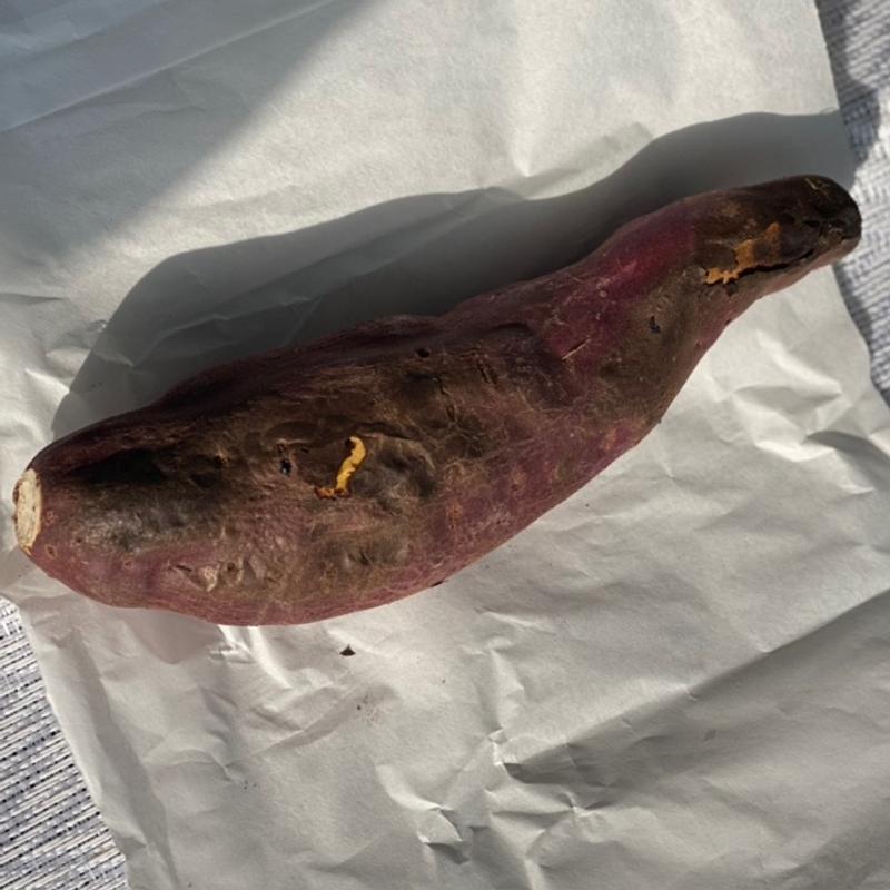 なると金時石焼き芋(伊吹の里・旬彩の森 )