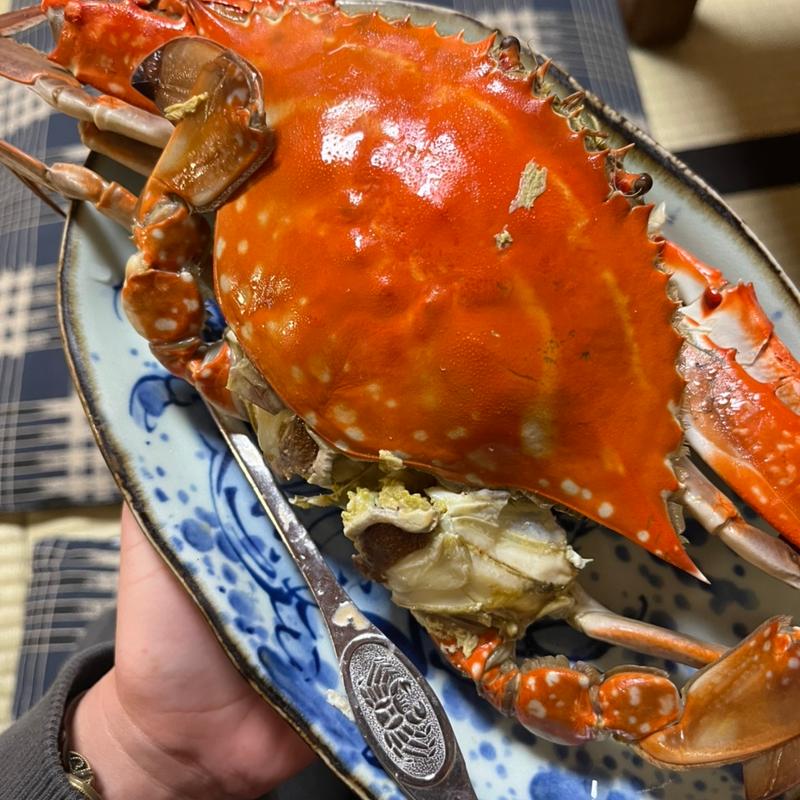 渡り蟹(一月家 )