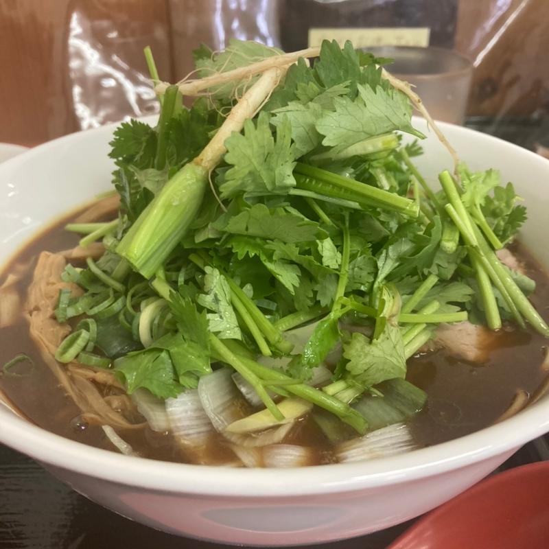 特製カレー中華そば細麺パクチートッピング(栃木中華そば 神志)