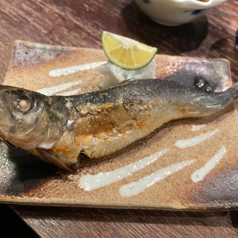 トロイワシ(ちょーちょ)