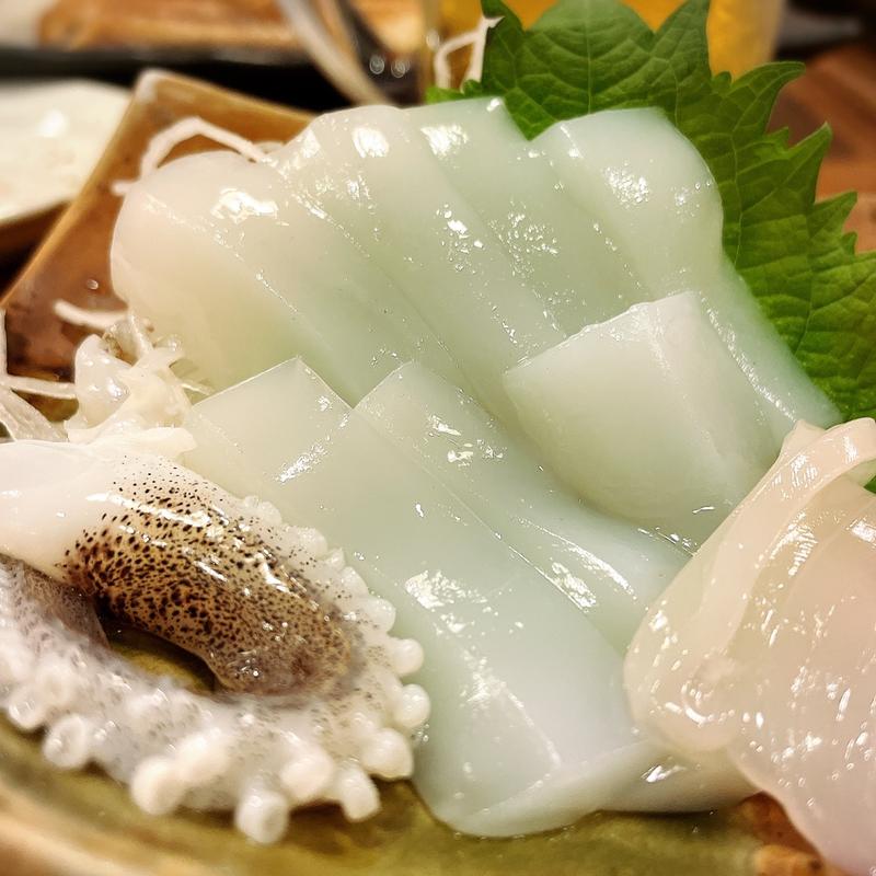 あおりいか刺身(栃木屋 )