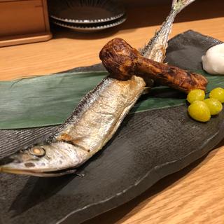 秋刀魚と松茸(魚菜由良　雑魚亭)