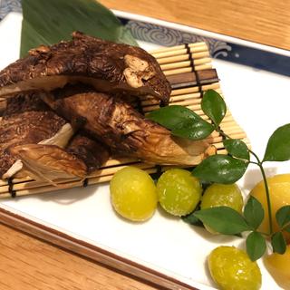 焼き松茸(魚菜由良　雑魚亭)