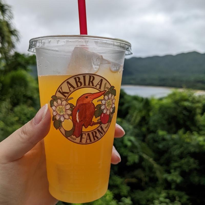 マンゴージュース((株)川平ファーム)