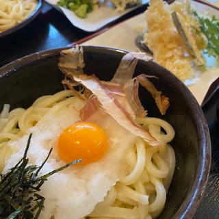 天おろしうどん(手打ちうどん鶴鶴 清水町店 )