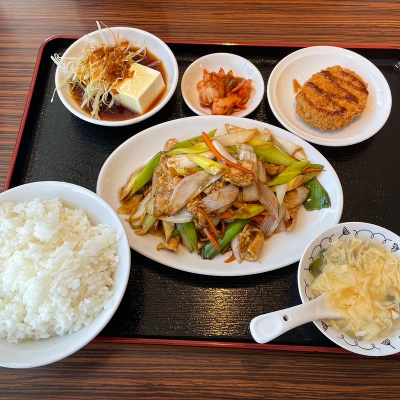 #豚肉長ネギ炒め定食(龍府 （リュウフ）)