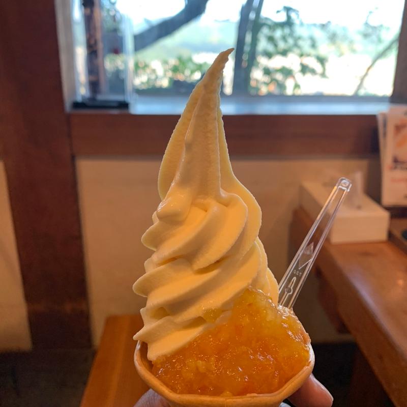 伊予柑ソフト(城山荘 )