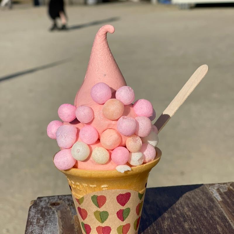 まるころコキアソフト(国営ひたち海浜公園)