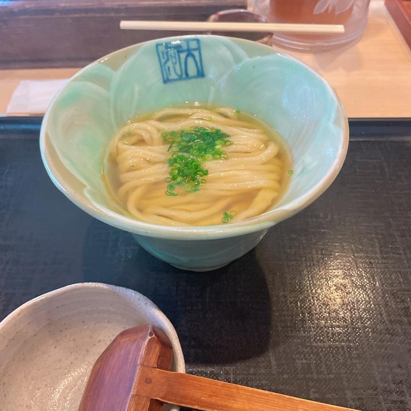 かけうどん(本格手打ちうどん大河)