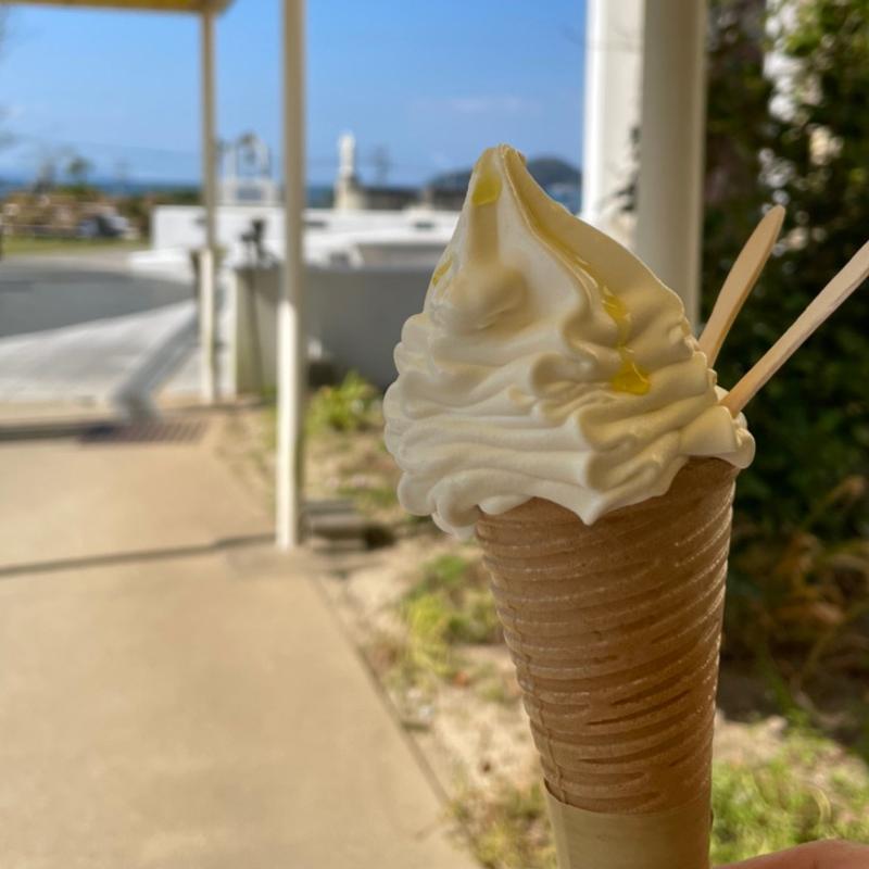 オリーブオイルソフト(天草四郎ミュージアム)