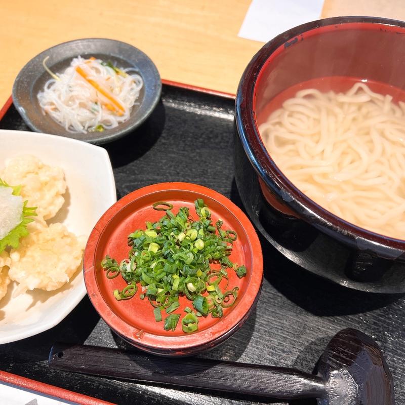 小えび天おろし釜あげうだん(釜揚げうどん はつとみ)