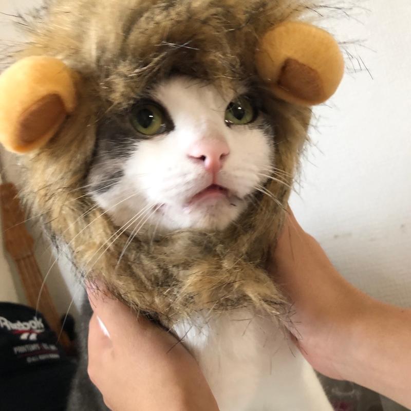 (桂林餃子満足 幕張本郷店)