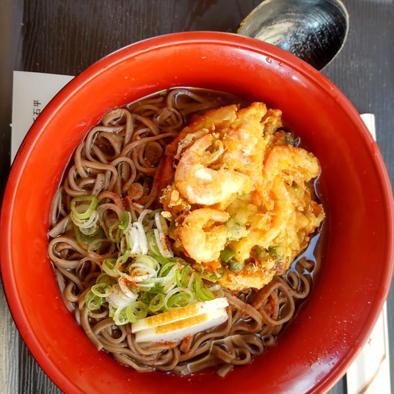 天ぷらそば(道の駅 信州新野千石平「蔵」 （クラ）)