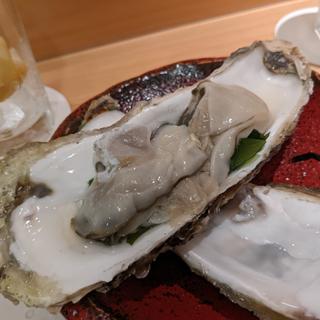 気仙沼産牡蠣(波やし)