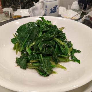 つるむらさき(敦煌 （トンコウ）)