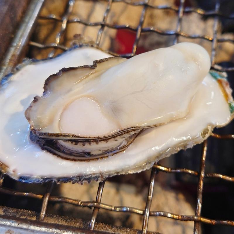 牡蠣(その他)(みるくがき豊久丸)