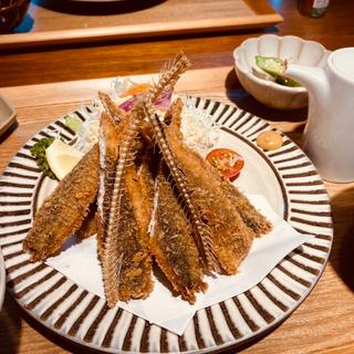 銚子産イワシフライ定食(居方食堂)