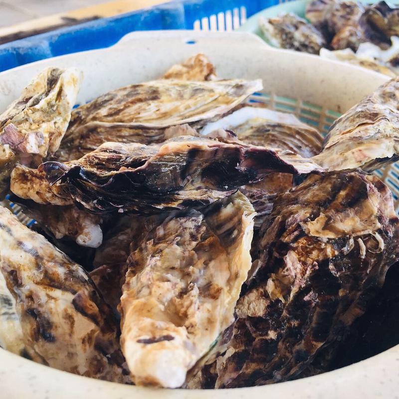 九十九島殻付かき(マルモ水産 海上かき小屋)