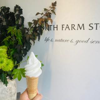 ソフトクリーム(NORTH FARM STOCK)