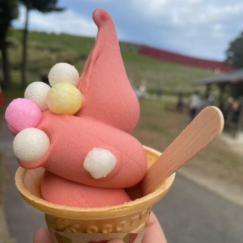 (国営ひたち海浜公園)