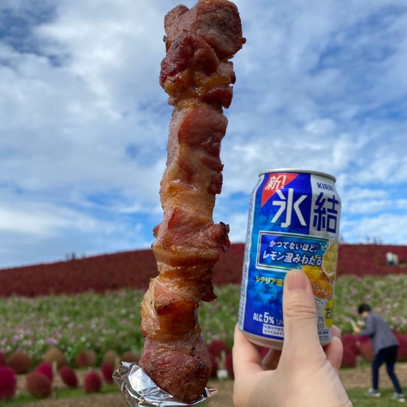 (国営ひたち海浜公園)