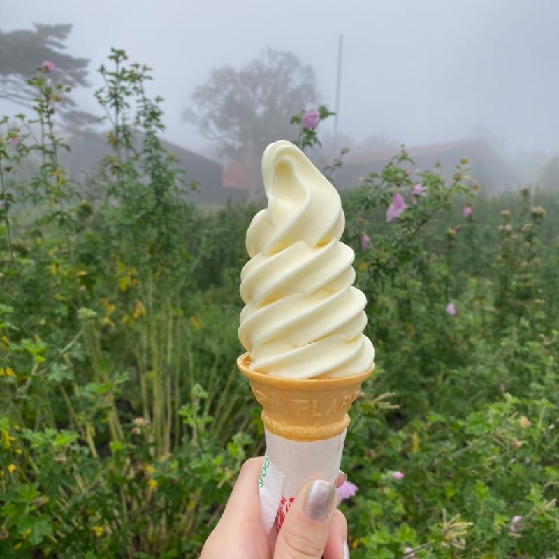 (ジャージーハット （Jersey Hut）)