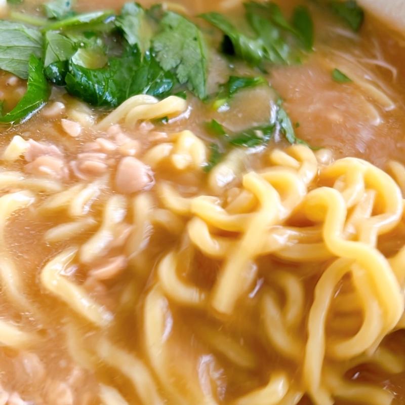 濃厚味噌納豆ラーメン(林泉堂(株))