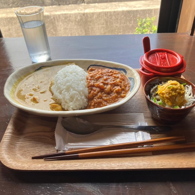 ココナッツチキン、キーマ2種盛(アガ〜リcurry)